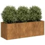 Jardinera oxidada 120x40x40 cm acero corten de , Maceteros y jardineras - Ref: Foro24-860681, Precio: 98,12 €, Descuento: %
