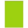 Estor Enrollable Opaco hojas verde 95x150 cm Tela Ancho 90,7 cm de , Persianas y estores - Ref: Foro24-4011257, Precio: 19,75...