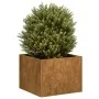 Jardinera oxidada acero corten 40x40x30 cm de , Maceteros y jardineras - Ref: Foro24-860800, Precio: 39,91 €, Descuento: %