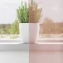 Cortinas de gasa con ojales 2 uds rosa 140x245 cm de , Cortinas y visillos - Ref: Foro24-4102098, Precio: 15,26 €, Descuento: %