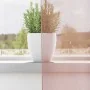 Cortinas de gasa con ojales 2 uds rosa 140x300 cm von , Vorhänge und Gardinen - Ref: Foro24-4102100, Preis: 16,17 €, Rabatt: %