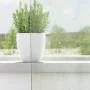 Cortinas de gasa con trabillas 2 uds gris claro 140x245 cm by , Curtains and curtains - Ref: Foro24-4102299, Price: 14,92 €, ...