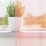Cortinas de gasa con trabillas 2 uds rosa 140x140 cm de , Cortinas y visillos - Ref: Foro24-4102286, Precio: 14,11 €, Descuen...