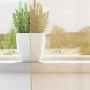 Cortinas de gasa con trabillas 2 uds arena 140x225 cm de , Cortinas y visillos - Ref: Foro24-4102308, Precio: 14,28 €, Descue...