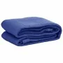 Alfombra para tienda de campaña azul 250x350 cm de , Accesorios para tiendas de campaña - Ref: Foro24-310722, Precio: 26,50 €...