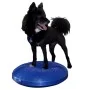 FitPAWS Disco de equilibrio para mascotas azul 56 cm de , Equipos para el ejercicio de mascotas - Ref: Foro24-433819, Precio:...