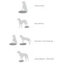 FitPAWS Disco de equilibrio para mascotas azul 56 cm de , Equipos para el ejercicio de mascotas - Ref: Foro24-433819, Precio:...