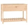 Jardinera con estante de madera maciza de pino 111,5x54x81 cm de , Maceteros y jardineras - Ref: Foro24-823787, Precio: 113,0...