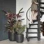 Capi Macetero Nature Rib negro 43x41 cm KBLR933 de , Maceteros y jardineras - Ref: Foro24-424234, Precio: 92,86 €, Descuento: %