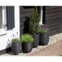 Capi Macetero Nature Rib negro 43x41 cm KBLR933 de , Maceteros y jardineras - Ref: Foro24-424234, Precio: 92,86 €, Descuento: %