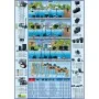 Ubbink Filtro para estanques FiltraPure 4000 26 L 1355967 de , Accesorios para estanques y fuentes - Ref: Foro24-409300, Prec...
