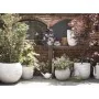 Capi Jarrón Nature Row KRWI782 elegante bajo color marfil 36x47 cm by , Pots and planters - Ref: Foro24-424276, Price: 68,86 ...
