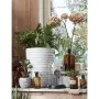 Capi Jarrón Nature Row KRWI782 elegante bajo color marfil 36x47 cm by , Pots and planters - Ref: Foro24-424276, Price: 68,86 ...