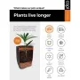 Capi Maceta rectangular Urban Smooth negro 36x79 cm de , Maceteros y jardineras - Ref: Foro24-429059, Precio: 153,96 €, Descu...