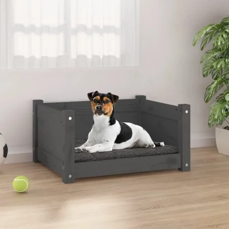Cama para perros madera maciza de pino gris 55,5x45,5x28 cm de , Camas para perros - Ref: Foro24-821444, Precio: 53,25 €, Des...