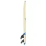 Tabla de surf diseño de estrella 170 cm de , Tablas de surf - Ref: Foro24-91689, Precio: 283,36 €, Descuento: %