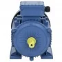 Motor eléctrico trifásico aluminio 3kW/4HP 2 polos 2840 RPM by , Electric motors - Ref: Foro24-148005, Price: 205,35 €, Disco...