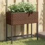 Jardinera con estante ratán sintético marrón de , Maceteros y jardineras - Ref: Foro24-366388, Precio: 62,35 €, Descuento: %