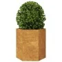 Jardinera hexagonal 46x40x45 cm acero desgastado de , Maceteros y jardineras - Ref: Foro24-851120, Precio: 51,72 €, Descuento: %