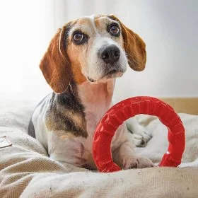 Ferplast Juguete dental para perros Smile rojo grande 20x18x4 cm by , Dog's Toys - Ref: Foro24-442647, Price: 19,53 €, Discou...