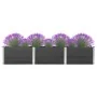 Arriate de WPC gris 300x50x54 cm de , Maceteros y jardineras - Ref: Foro24-318099, Precio: 376,20 €, Descuento: %