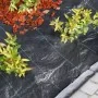 Nature Cubierta de suelo antimaleza negra 1x50 m de , Mallas antihierbas - Ref: Foro24-423489, Precio: 57,56 €, Descuento: %