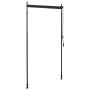 Estor enrollable de exterior gris antracita 100x270 cm de , Toldos - Ref: Foro24-145935, Precio: 57,33 €, Descuento: %