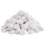 Guijarros pulidos blancos 10 kg 2-5 cm de , Decoración de acuarios - Ref: Foro24-155329, Precio: 34,41 €, Descuento: %