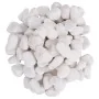 Guijarros pulidos blancos 10 kg 2-5 cm de , Decoración de acuarios - Ref: Foro24-155329, Precio: 34,41 €, Descuento: %