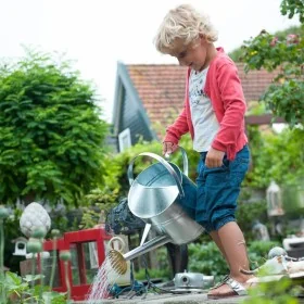 Nature Regadera acero galvanizado 9 L by , Watering cans - Ref: Foro24-442638, Price: 44,29 €, Discount: %
