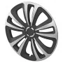 ProPlus Juego de tapacubos 4 unidades Terra plateado y negro 15" de , Llantas y ruedas para automoción - Ref: Foro24-443209, ...
