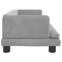 Cama para perros de terciopelo gris claro 80x45x30 cm de , Camas para perros - Ref: Foro24-171895, Precio: 79,56 €, Descuento: %
