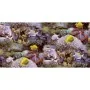 Noordwand Papel Good Vibes Coral and Tropical Fish amarillo morado de , Papel pintado - Ref: Foro24-440437, Precio: 19,78 €, ...