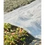 Nature Cobertor para plantas transparente 3x4 m 100µ de , Accesorios de jardinería - Ref: Foro24-446378, Precio: 18,15 €, Des...