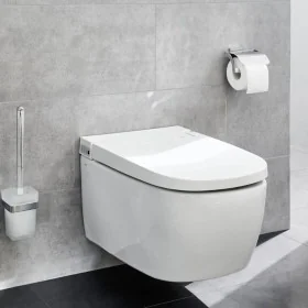 Kleine Wolke Portarrollo de papel higiénico con tapa Meo plateado de , Portarrollos - Ref: Foro24-442308, Precio: 43,90 €, De...
