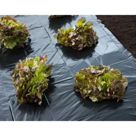 Nature Lona de suelo negra 4x6 m 50µ de , Accesorios de jardinería - Ref: Foro24-446373, Precio: 20,90 €, Descuento: %