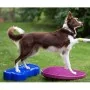 FitPAWS Disco de equilibrio para mascotas color frutos rojos 56 cm by , Pet Exercise Equipment - Ref: Foro24-433834, Price: 1...