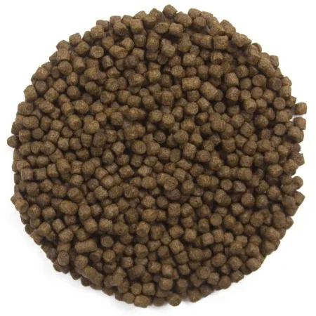Ubbink Comida para peces Heiko Koi Energy Menu 3 mm 3 l de , Alimento para peces - Ref: Foro24-447548, Precio: 31,56 €, Descu...
