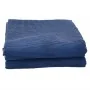 Alfombra de tienda de campaña azul 6x3 m de , Accesorios para tiendas de campaña - Ref: Foro24-4008467, Precio: 62,73 €, Desc...