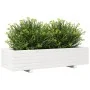 Jardinera de madera maciza de pino blanco 110x40x26,5 cm by , Pots and planters - Ref: Foro24-847339, Price: 112,77 €, Discou...