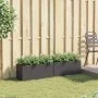 Jardineras con 2 maceteros 2 uds ratán PE negro 72x30x32 cm de , Maceteros y jardineras - Ref: Foro24-3210528, Precio: 85,73 ...