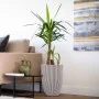 Capi Jarrón elegante Groove marfil 34x46 cm de , Maceteros y jardineras - Ref: Foro24-445498, Precio: 80,65 €, Descuento: %