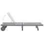 Tumbona de jardín con cojín madera maciza de acacia gris by , Loungers - Ref: Foro24-3061367, Price: 197,46 €, Discount: %