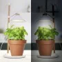 Smartwares Lámpara de cultivo para jardín LED 9W blanco de , Lámparas - Ref: Foro24-444944, Precio: 32,36 €, Descuento: %
