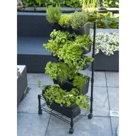 Nature Set de jardinera vertical móvil de , Maceteros y jardineras - Ref: Foro24-434649, Precio: 89,19 €, Descuento: %