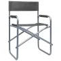 Sillas de director 2 unidades acero gris de , Sillas de jardín - Ref: Foro24-47920, Precio: 103,49 €, Descuento: %
