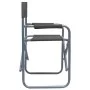 Sillas de director 2 unidades acero gris de , Sillas de jardín - Ref: Foro24-47920, Precio: 103,49 €, Descuento: %