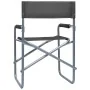 Sillas de director 2 unidades acero gris de , Sillas de jardín - Ref: Foro24-47920, Precio: 103,49 €, Descuento: %