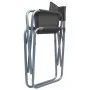 Sillas de director 2 unidades acero gris de , Sillas de jardín - Ref: Foro24-47920, Precio: 103,49 €, Descuento: %