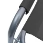 Sillas de director 2 unidades acero gris de , Sillas de jardín - Ref: Foro24-47920, Precio: 103,49 €, Descuento: %